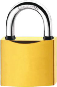 BRAVO ROZETLİ KAPI KOLU - -